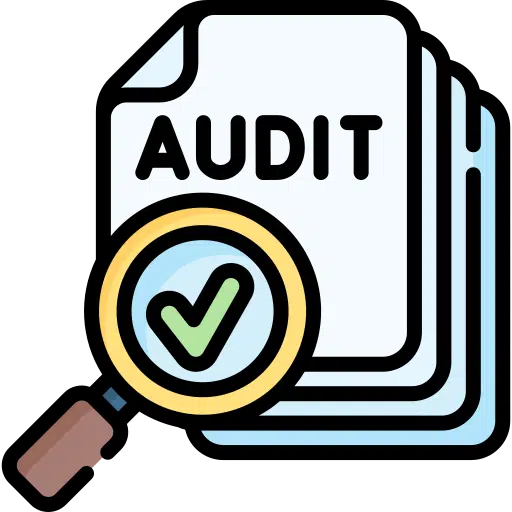 audit seo Wordpress